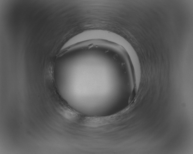 X0000073420045200608181132