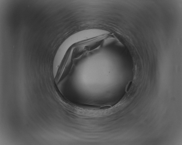 X0000073420048200608181132