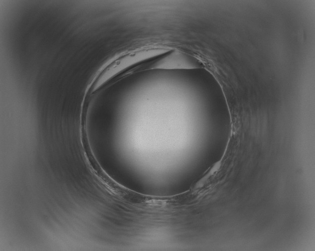 X0000073420052200608181131