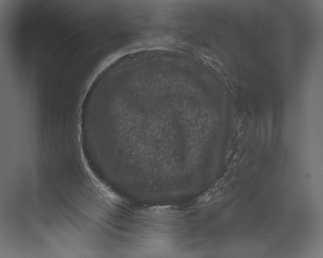 X0000073420054200608181131