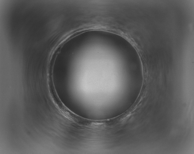 X0000073420055200608181131