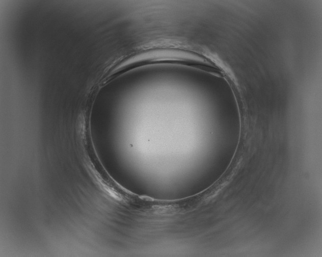 X0000073420057200608181132