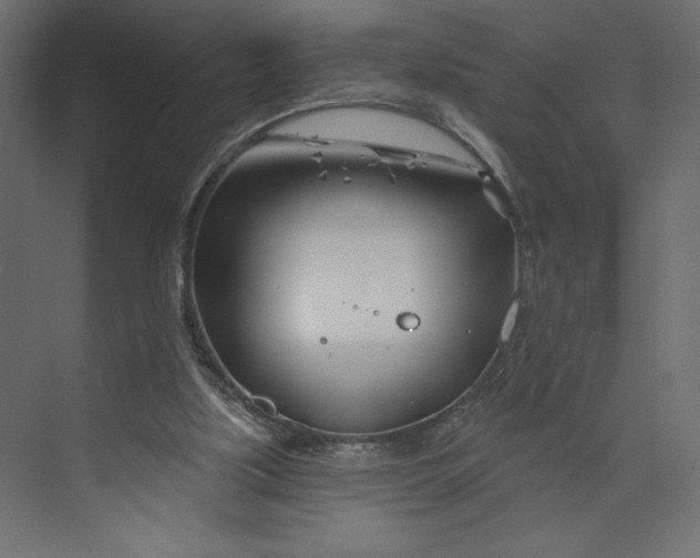 X0000073420059200608181132