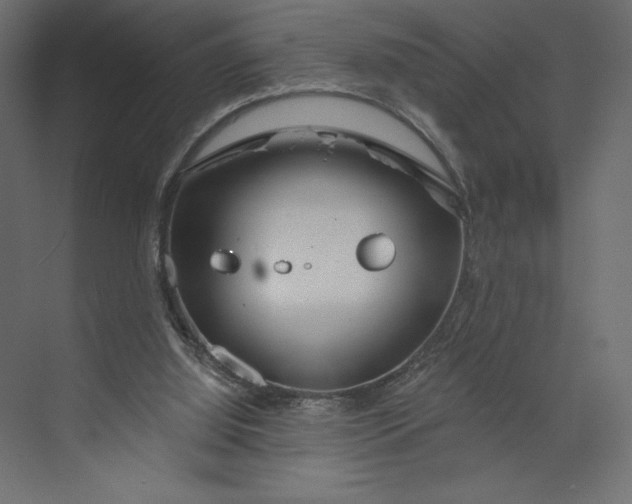 X0000073420060200608181132