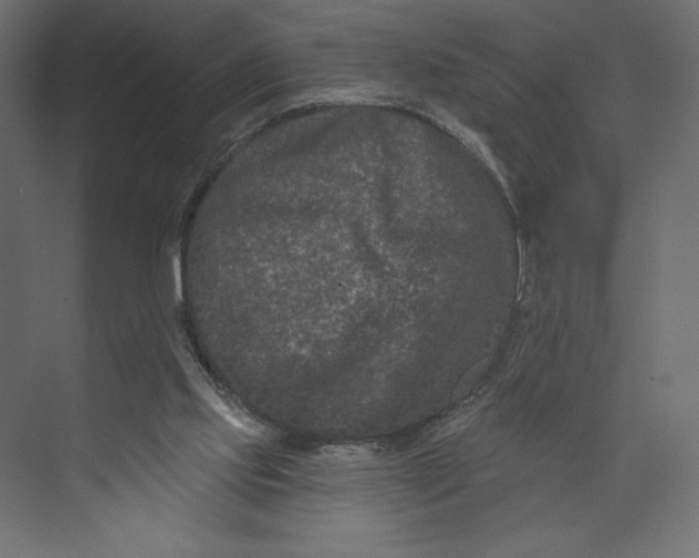 X0000073420061200608181132