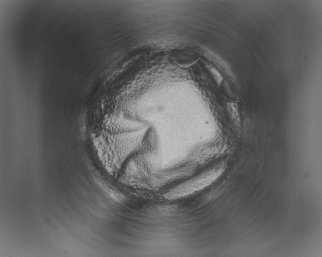 X0000073420065200608181132