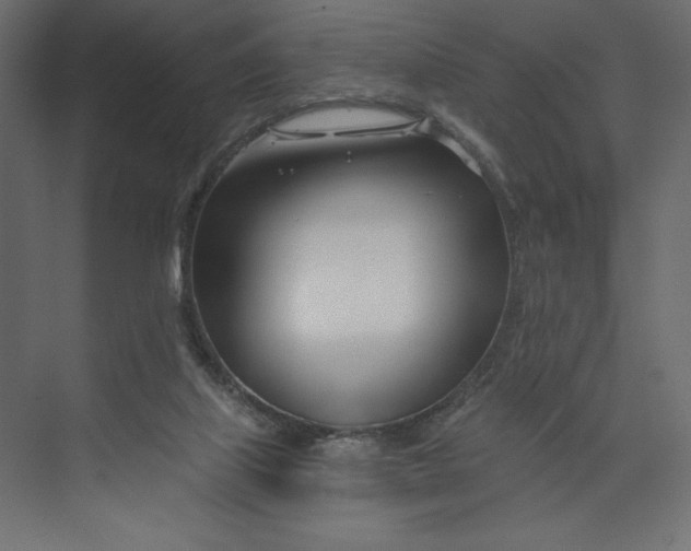 X0000073420067200608181132