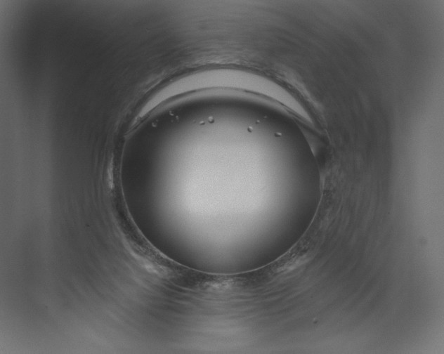 X0000073420068200608181132