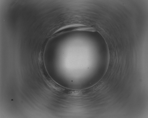 X0000073420088200608181132