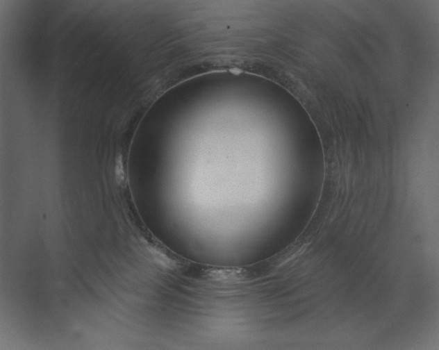 X0000073420089200608181132