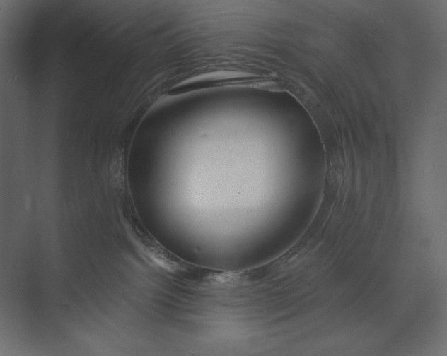 X0000073420092200608181132