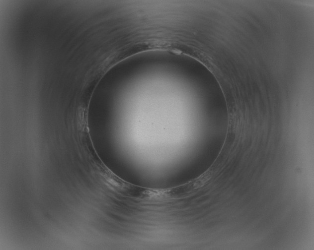 X0000073420093200608181132