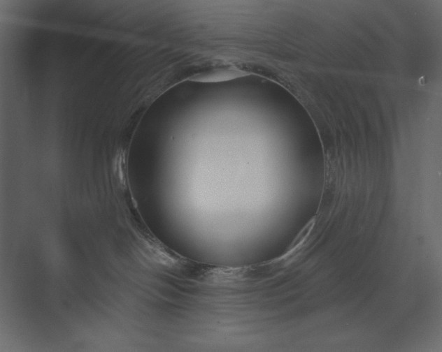 X0000073420094200608181132