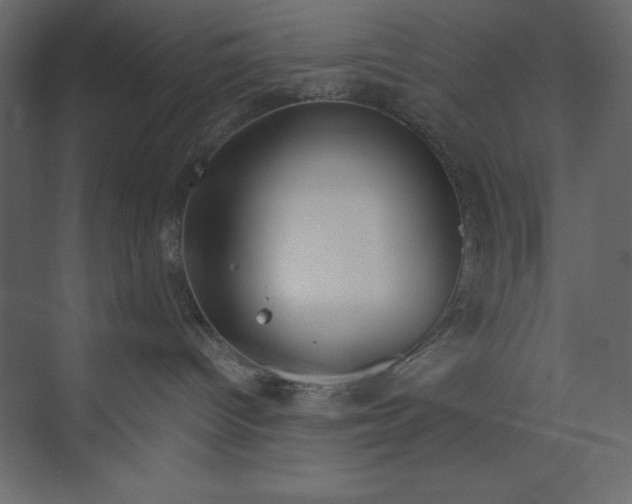 X0000073420096200608181132