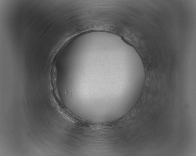 X0000073420098200608181131