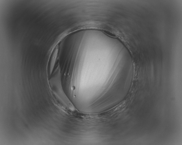 X0000073420099200608181131