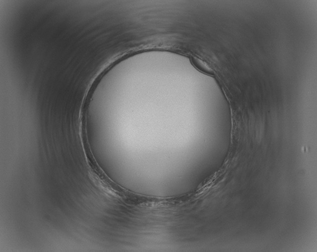 X0000073420100200608181131