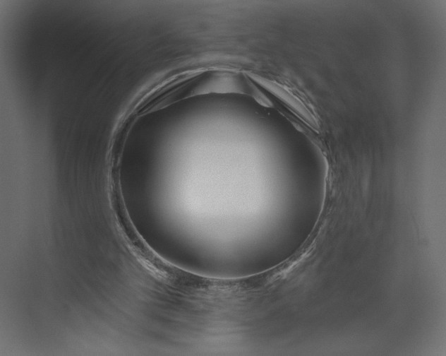 X0000073420101200608181131