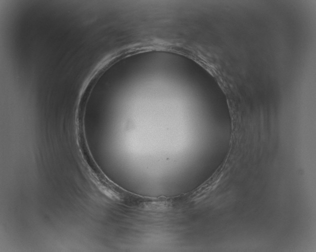 X0000073420102200608181131