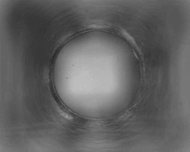 X0000073420106200608181131