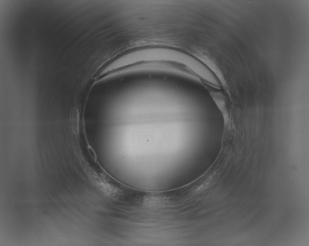 X0000073420109200608181131