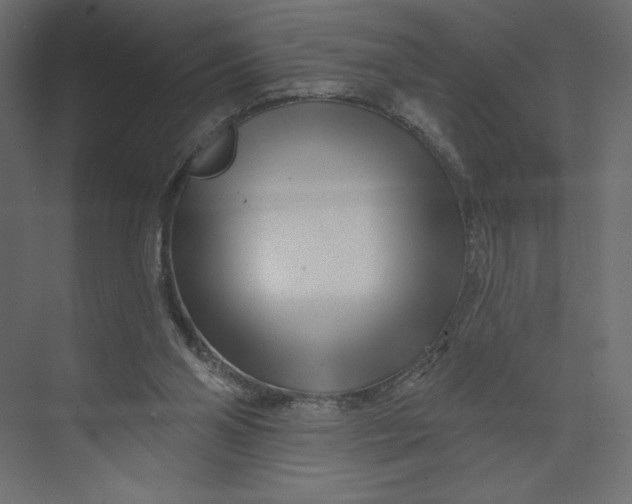 X0000073420110200608181131