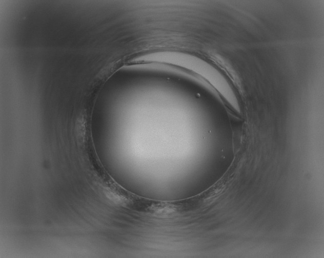 X0000073420113200608181131