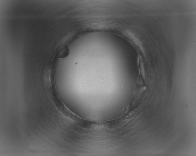 X0000073420115200608181131