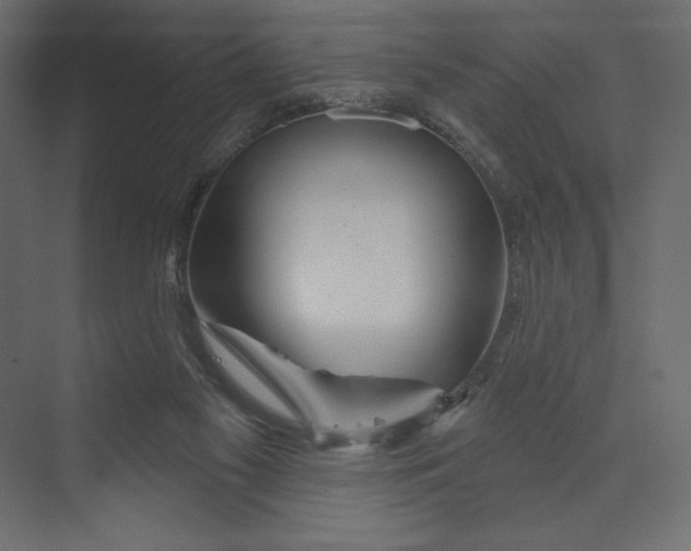 X0000073420117200608181131