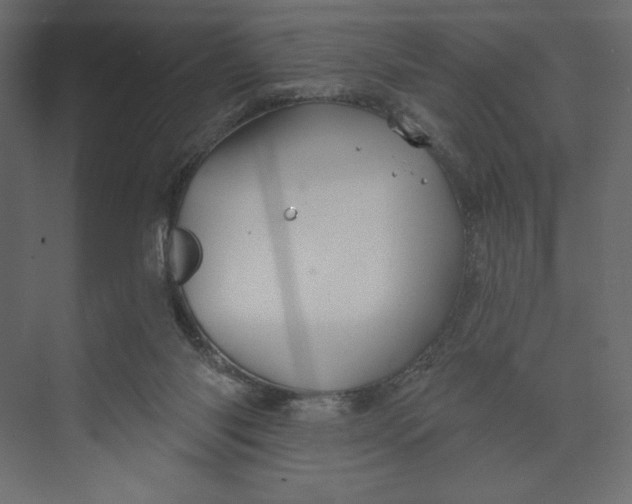 X0000073420118200608181131