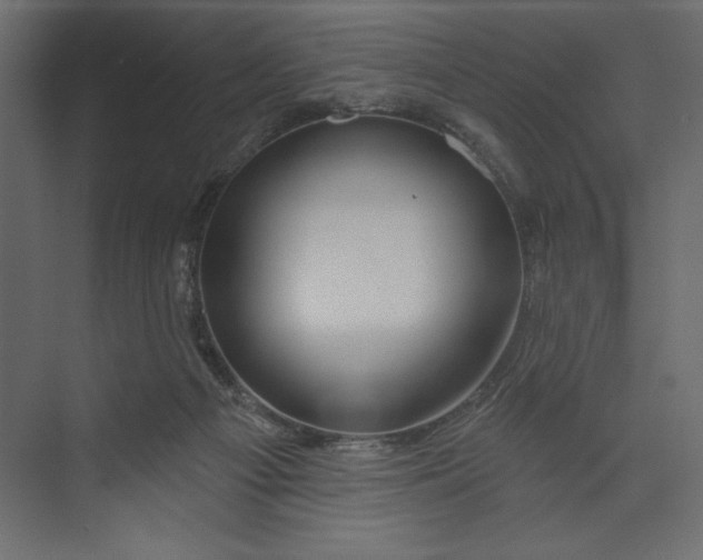 X0000073420121200608181131