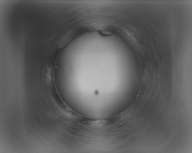 X0000073420122200608181131