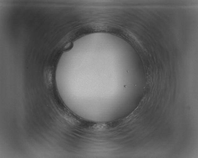 X0000073420124200608181131