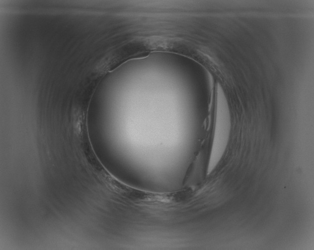 X0000073420125200608181131