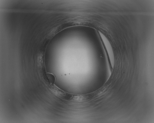 X0000073420127200608181131