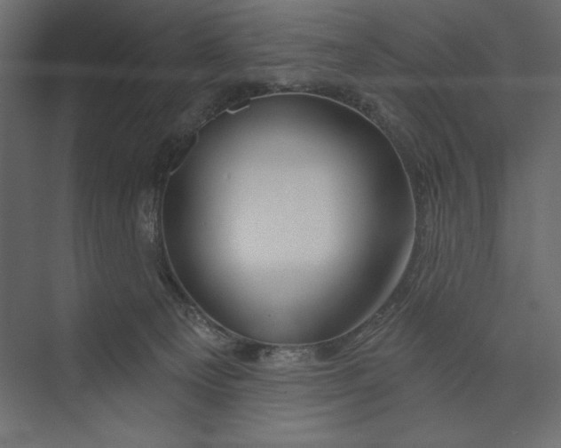 X0000073420129200608181131