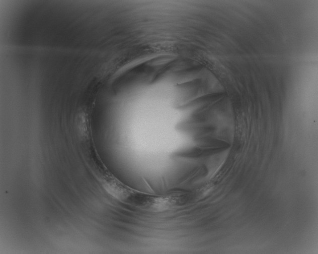 X0000073420130200608181131