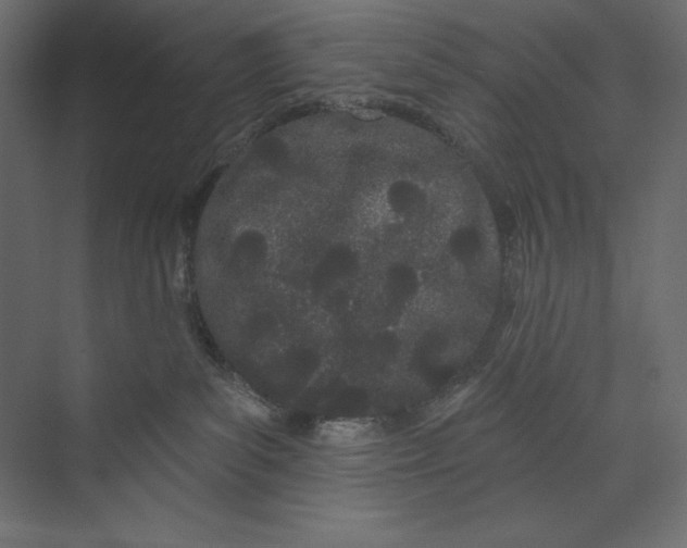 X0000073420139200608181131