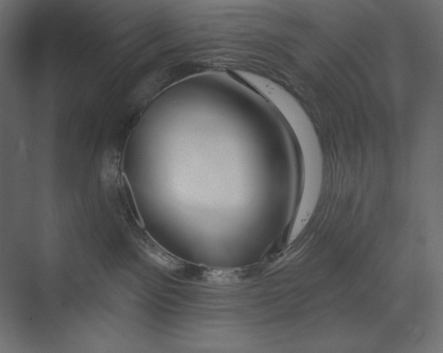 X0000073420141200608181131