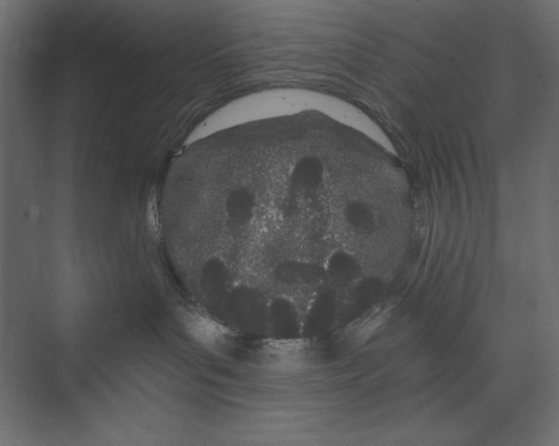 X0000073420143200608181131