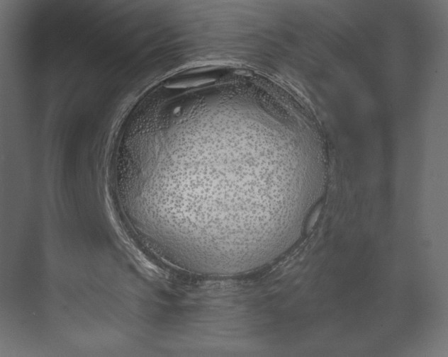 X0000073420145200608181130