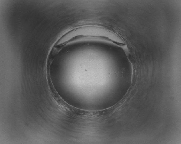 X0000073420148200608181130