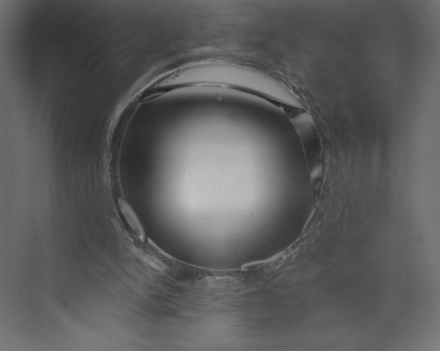 X0000073420150200608181130