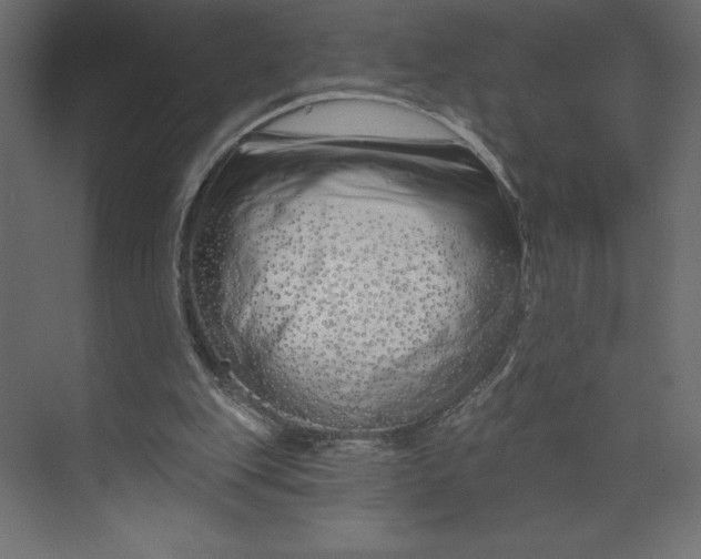 X0000073420151200608181130