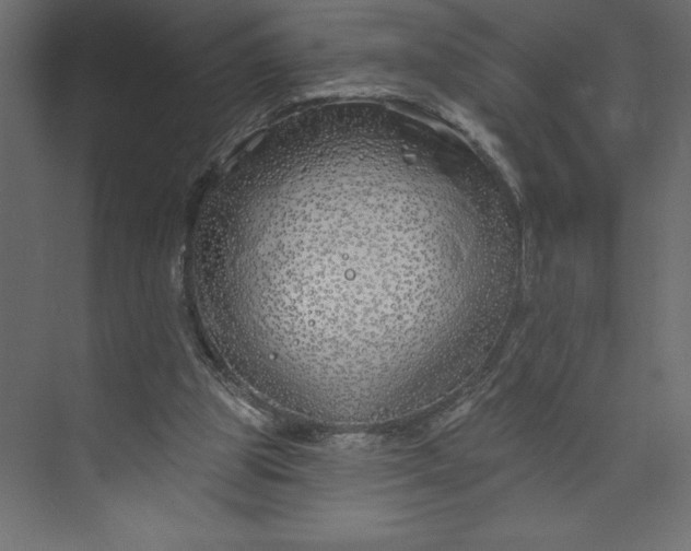 X0000073420153200608181130