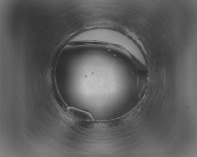 X0000073420154200608181130