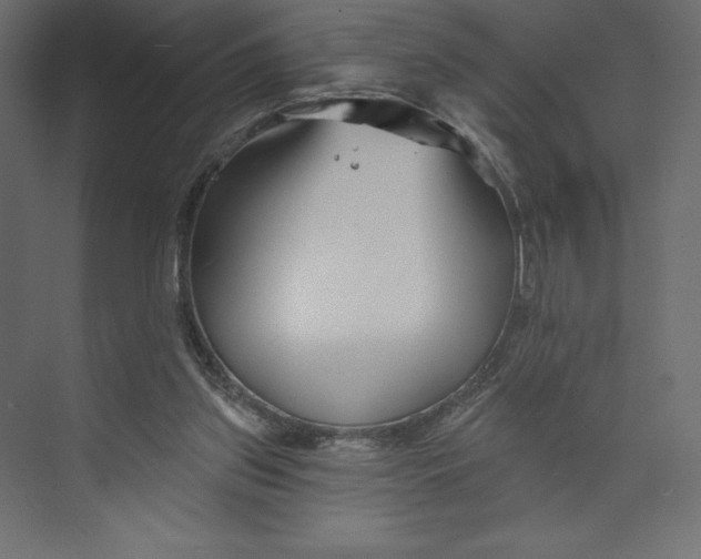 X0000073420157200608181130