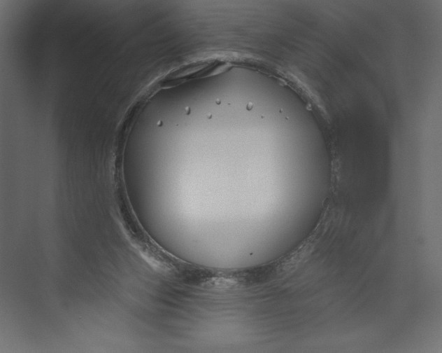 X0000073420159200608181130