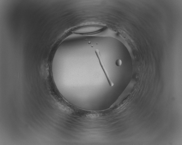 X0000073420160200608181130