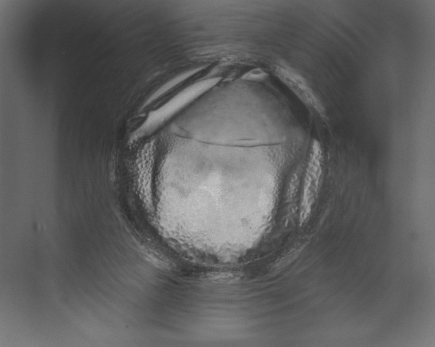 X0000073420161200608181130